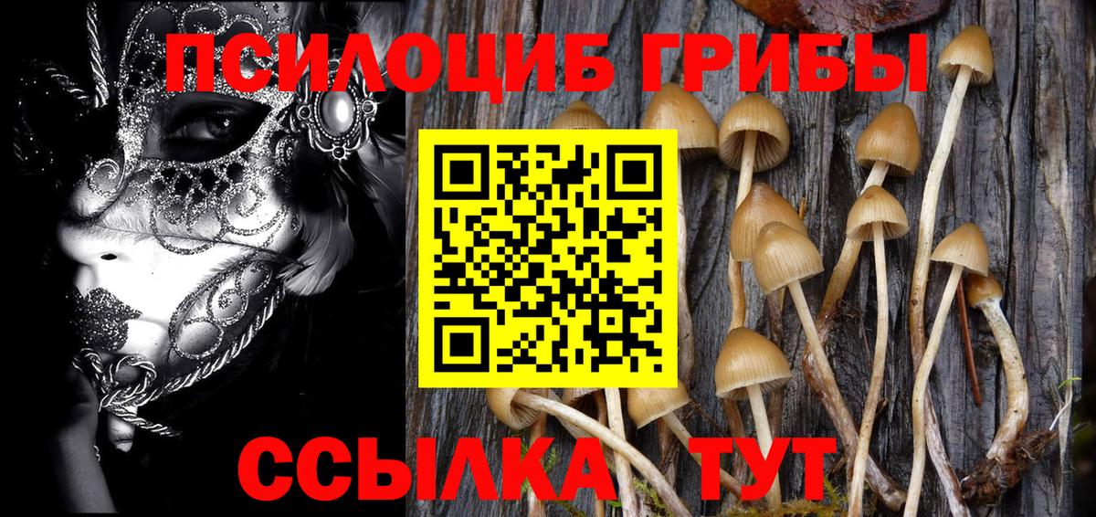Кизилюрт  Псилоцибиновые грибы мицелий  Вход с VPN 