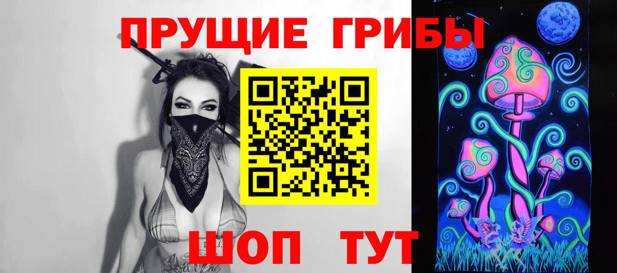 Псилоцибиновые грибы Psilocybe Кизилюрт